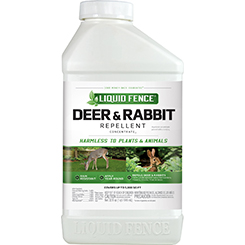  Deer & Rabbit Repellent Concentrate
